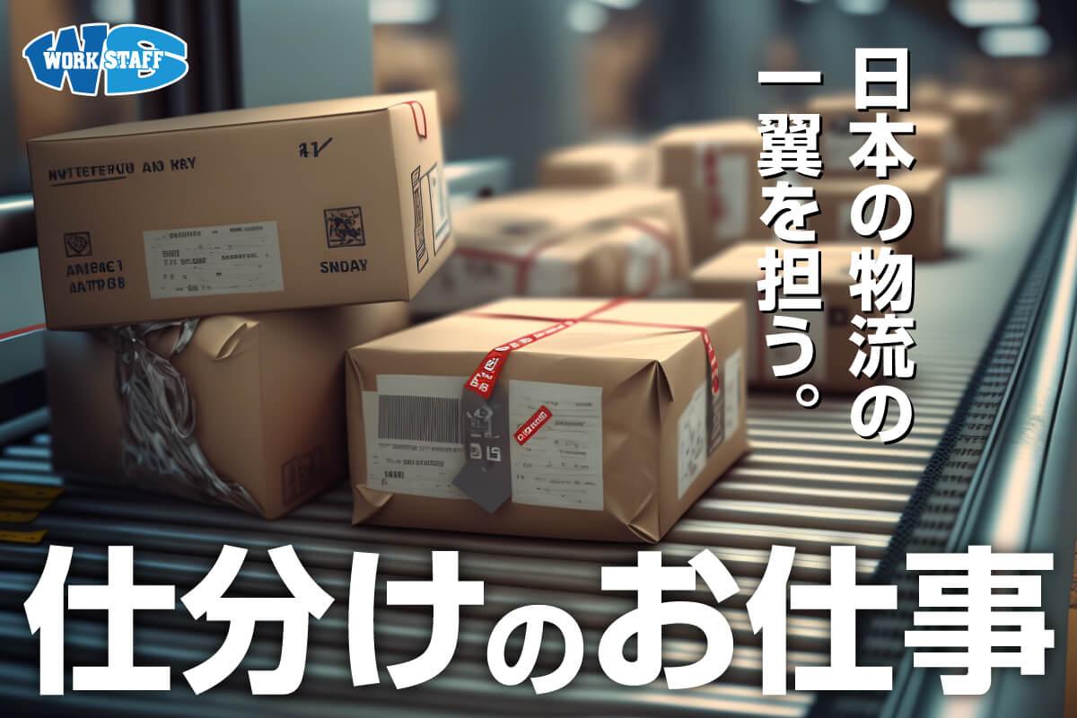 チルドセンター（冷蔵倉庫）でのピッキング作業（24376）