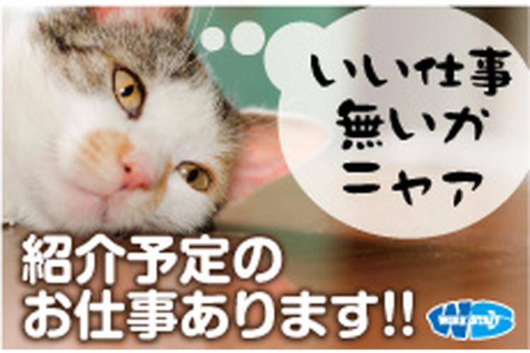 損害保険会社での一般事務（45777）