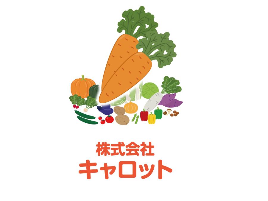 にんじん種蒔き、ブロッコリー収穫作業