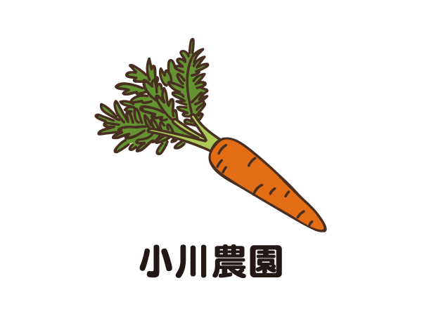 人参収穫の農業スタッフ